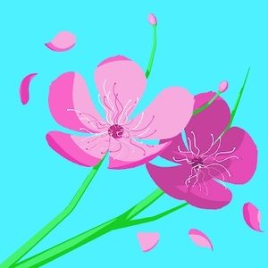 Meet your Posher, Jayla